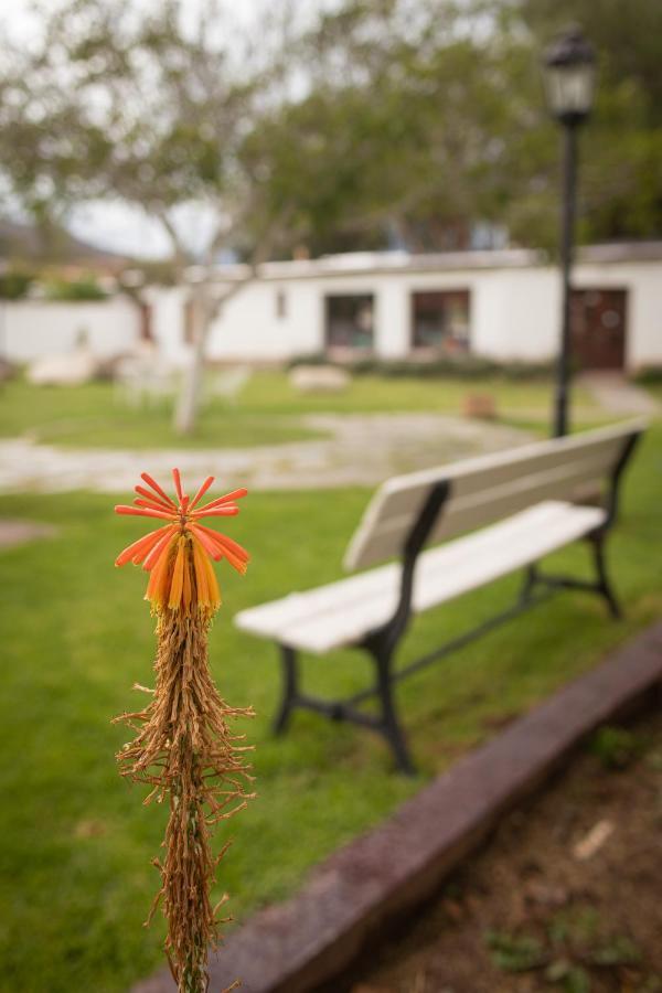 Hotel Tampu